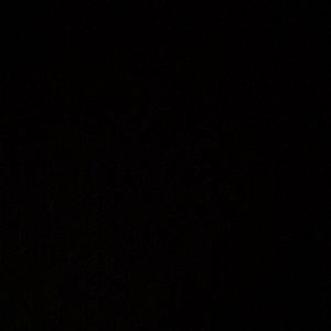 Meet your Posher, Nakayla